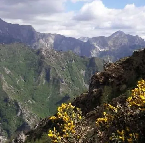 L ' Canton Frühstückspension 3*